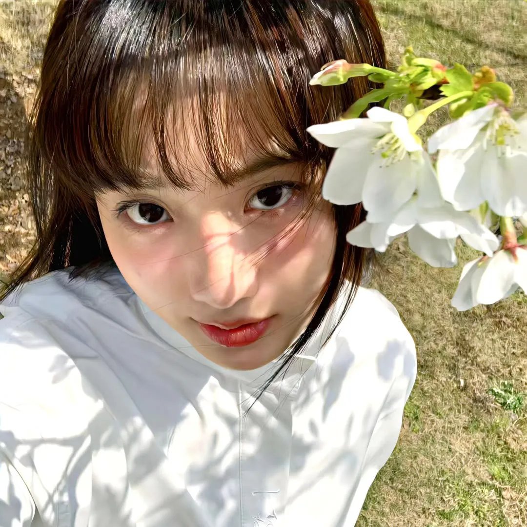 奔月